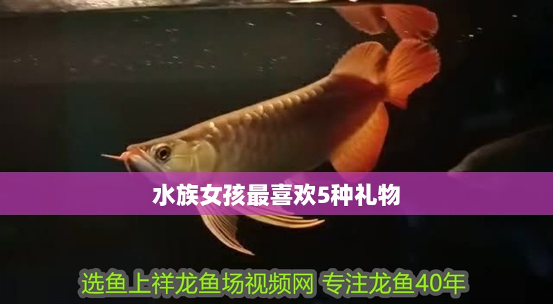 水族女孩最喜歡5種禮物