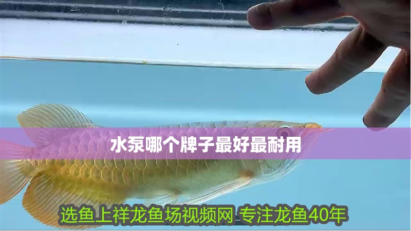 水泵哪個牌子最好最耐用