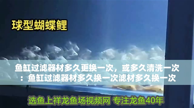魚缸過濾器材多久更換一次，或多久清洗一次：魚缸過濾器材多久換一次濾材多久換一次