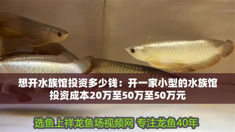 想開水族館投資多少錢：開一家小型的水族館投資成本20萬至50萬至50萬元