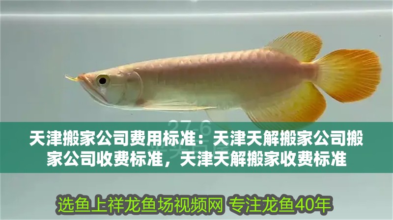 天津搬家公司費(fèi)用標(biāo)準(zhǔn)：天津天解搬家公司搬家公司收費(fèi)標(biāo)準(zhǔn)，天津天解搬家收費(fèi)標(biāo)準(zhǔn)