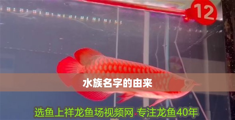 水族名字的由來