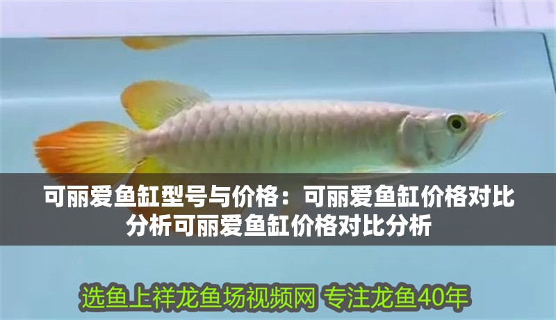 可麗愛魚缸型號(hào)與價(jià)格：可麗愛魚缸價(jià)格對(duì)比分析可麗愛魚缸價(jià)格對(duì)比分析 可麗愛魚缸型號(hào)與價(jià)格：可麗愛魚缸價(jià)格對(duì)比分析可麗愛魚缸價(jià)格對(duì)比分析 魚缸百科