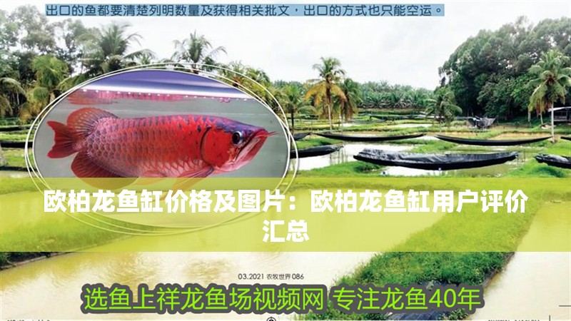歐柏龍魚缸價格及圖片：歐柏龍魚缸用戶評價匯總