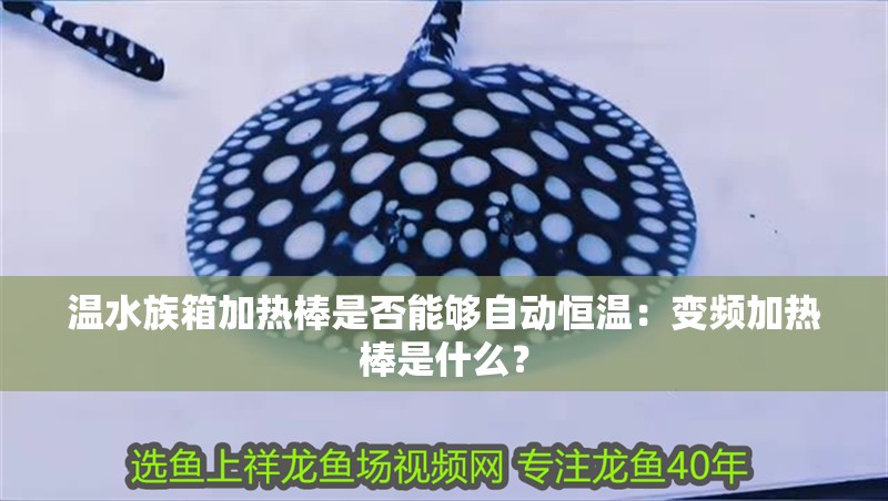 溫水族箱加熱棒是否能夠自動恒溫：變頻加熱棒是什么？