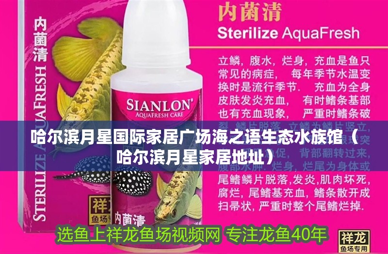 哈爾濱月星國際家居廣場海之語生態水族館（哈爾濱月星家居地址）