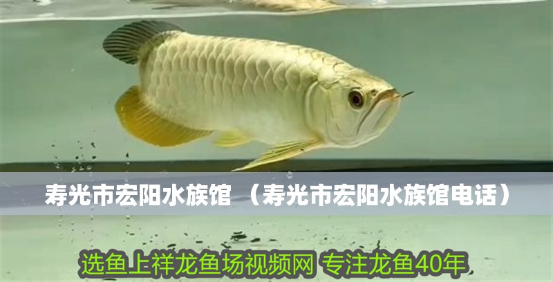 壽光市宏陽水族館 （壽光市宏陽水族館電話）