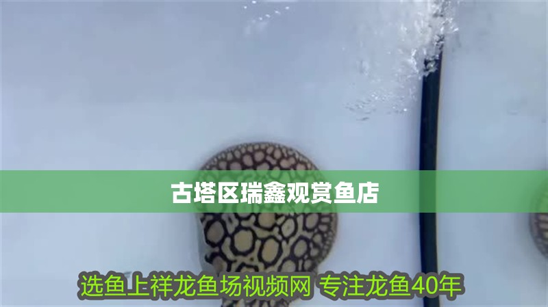 古塔區(qū)瑞鑫觀賞魚店