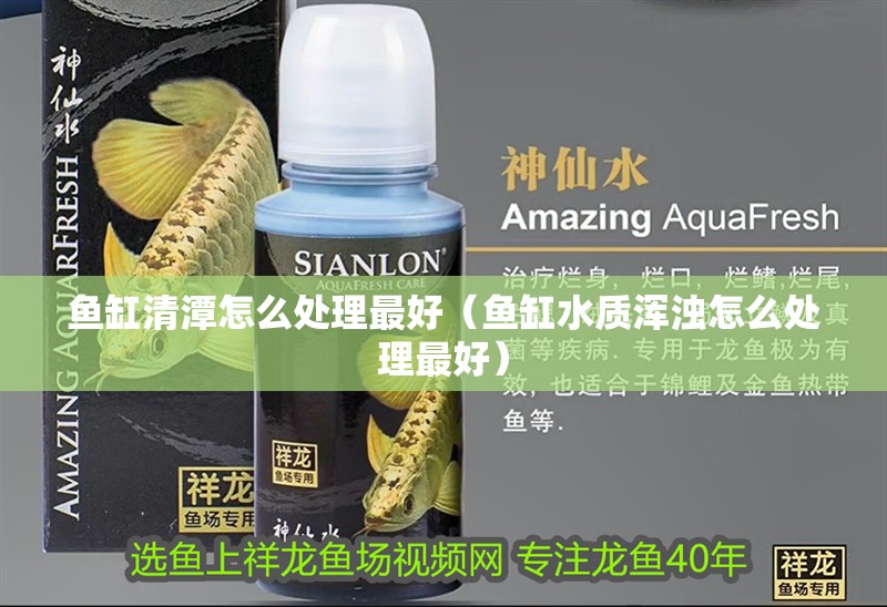 魚缸清潭怎么處理最好（魚缸水質渾濁怎么處理最好） 魚缸清潭怎么處理最好（魚缸水質渾濁怎么處理最好） 魚缸百科