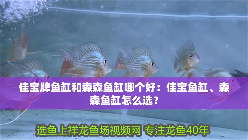 佳寶牌魚缸和森森魚缸哪個好：佳寶魚缸、森森魚缸怎么選？