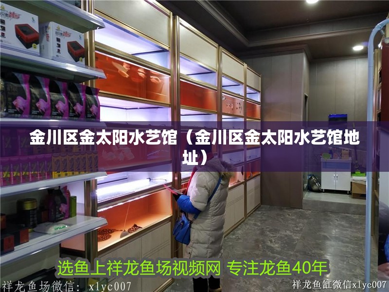 金川區金太陽水藝館（金川區金太陽水藝館地址）