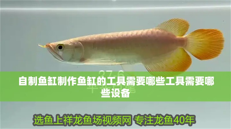 自制魚缸制作魚缸的工具需要哪些工具需要哪些設備