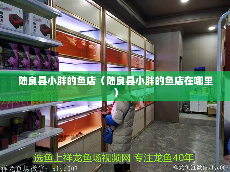 陸良縣小胖的魚店（陸良縣小胖的魚店在哪里）