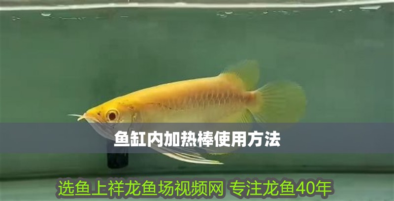 魚缸內加熱棒使用方法