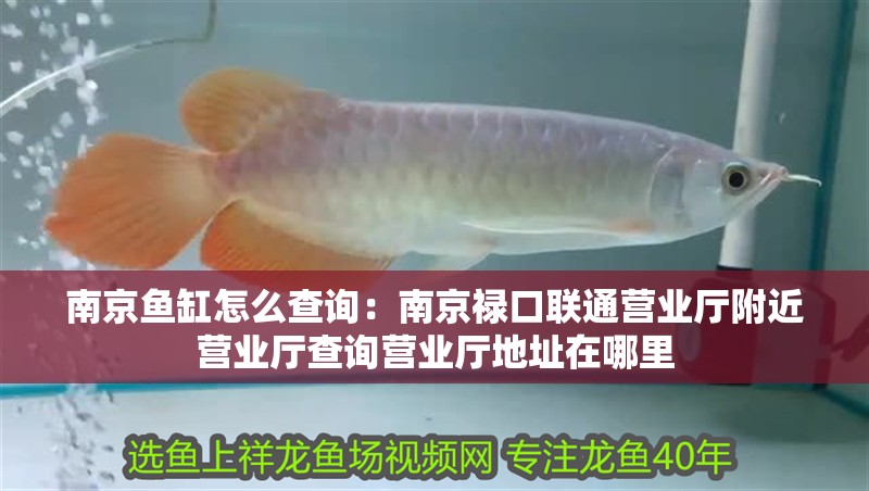 南京魚缸怎么查詢：南京祿口聯通營業廳附近營業廳查詢營業廳地址在哪里