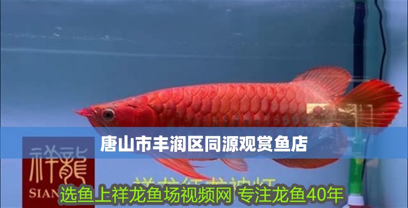 唐山市豐潤區同源觀賞魚店