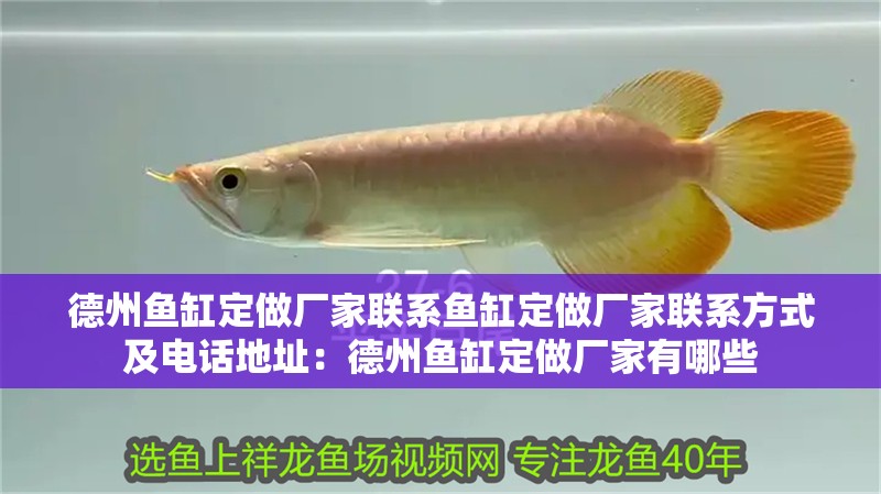 德州魚缸定做廠家聯系魚缸定做廠家聯系方式及電話地址：德州魚缸定做廠家有哪些