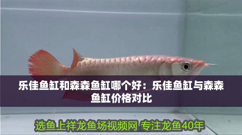 樂佳魚缸和森森魚缸哪個(gè)好：樂佳魚缸與森森魚缸價(jià)格對(duì)比