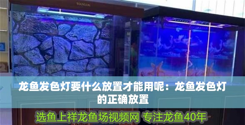 龍魚發色燈要什么放置才能用呢：龍魚發色燈的正確放置