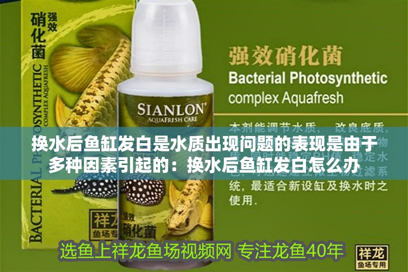 換水后魚缸發白是水質出現問題的表現是由于多種因素引起的：換水后魚缸發白怎么辦