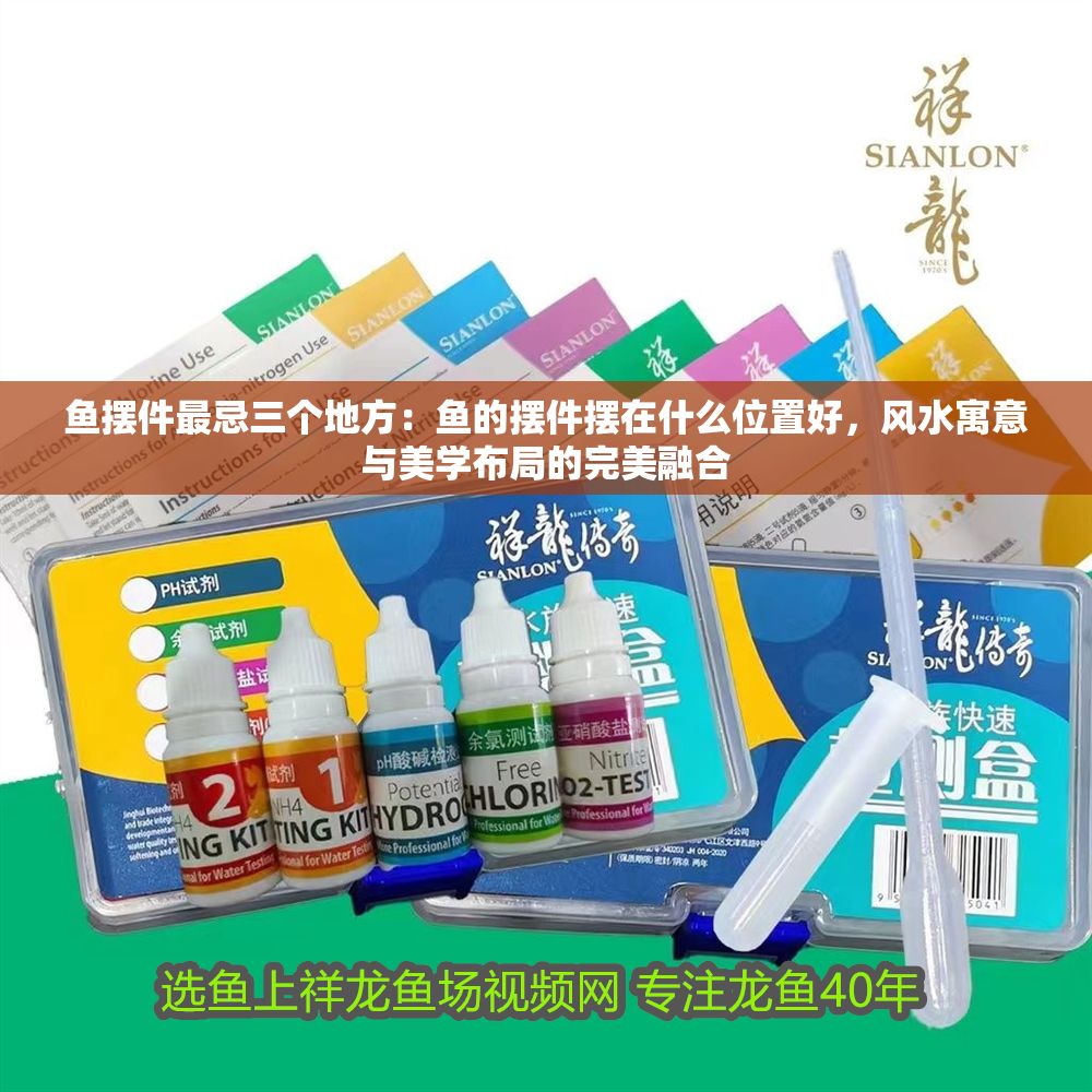 魚擺件最忌三個地方：魚的擺件擺在什么位置好，風水寓意與美學布局的完美融合