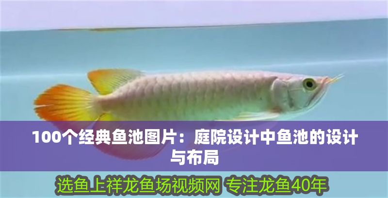 100個經典魚池圖片：庭院設計中魚池的設計與布局