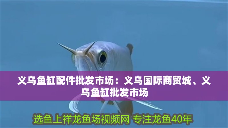 義烏魚缸配件批發市場：義烏國際商貿城、義烏魚缸批發市場
