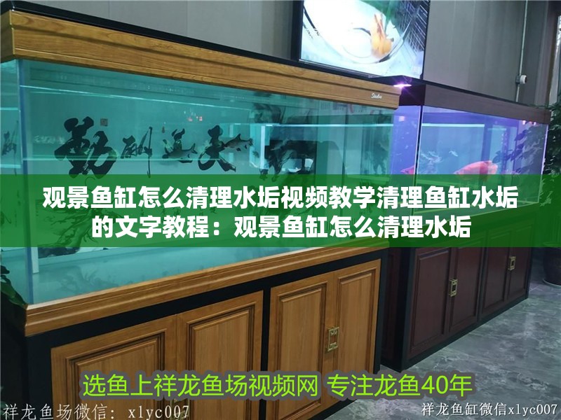 觀景魚缸怎么清理水垢視頻教學清理魚缸水垢的文字教程：觀景魚缸怎么清理水垢