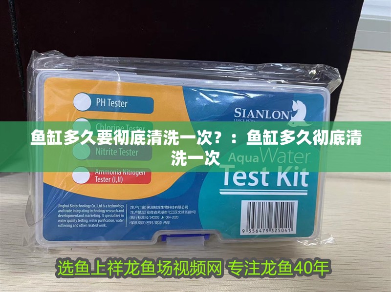 魚缸多久要徹底清洗一次？：魚缸多久徹底清洗一次