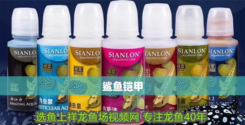 鯊魚鎧甲 鯊魚鎧甲 龍魚論壇