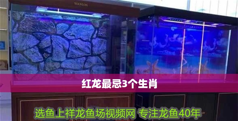 紅龍最忌3個生肖