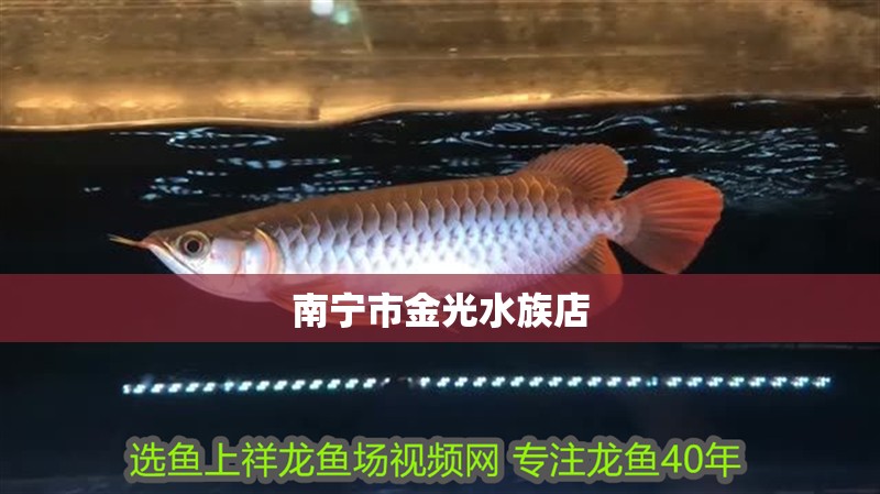 南寧市金光水族店