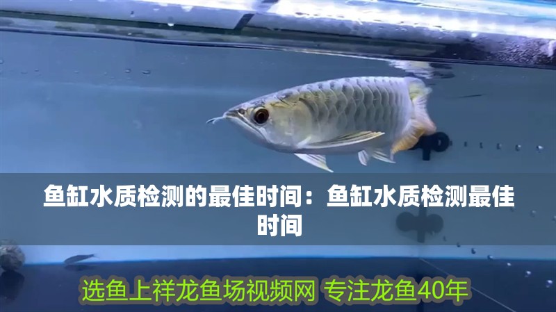 魚缸水質(zhì)檢測(cè)的最佳時(shí)間：魚缸水質(zhì)檢測(cè)最佳時(shí)間