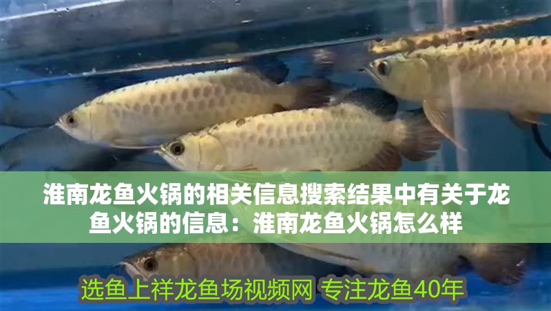 淮南龍魚火鍋的相關信息搜索結果中有關于龍魚火鍋的信息：淮南龍魚火鍋怎么樣