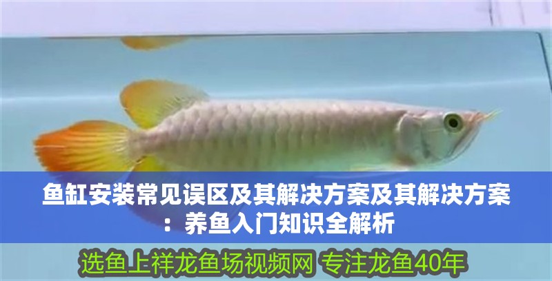 魚缸安裝常見誤區及其解決方案及其解決方案：養魚入門知識全解析