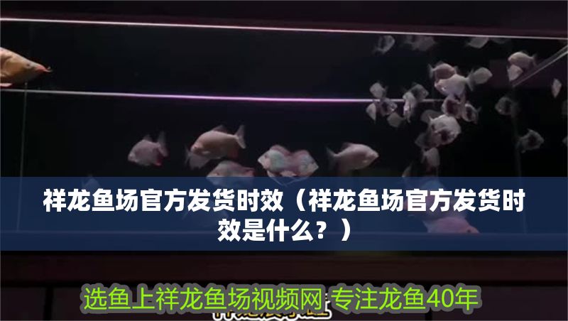 祥龍魚場官方發貨時效（祥龍魚場官方發貨時效是什么？）