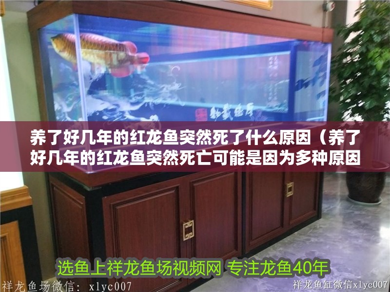 養了好幾年的紅龍魚突然死了什么原因（養了好幾年的紅龍魚突然死亡可能是因為多種原因共同作用的結果）
