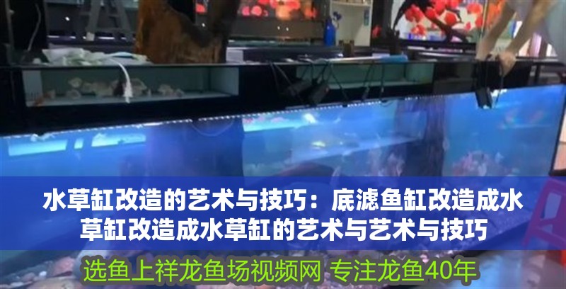 水草缸改造的藝術與技巧：底濾魚缸改造成水草缸改造成水草缸的藝術與藝術與技巧