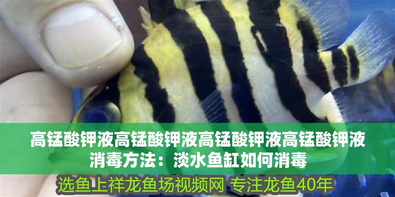 高錳酸鉀液高錳酸鉀液高錳酸鉀液高錳酸鉀液消毒方法：淡水魚缸如何消毒