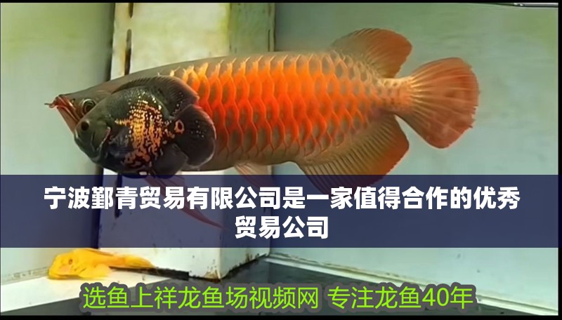 寧波鄞青貿易有限公司是一家值得合作的優秀貿易公司