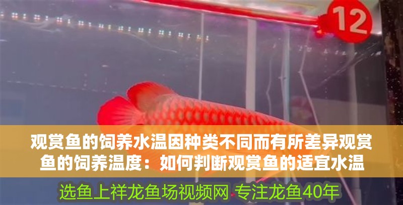 觀賞魚的飼養水溫因種類不同而有所差異觀賞魚的飼養溫度：如何判斷觀賞魚的適宜水溫