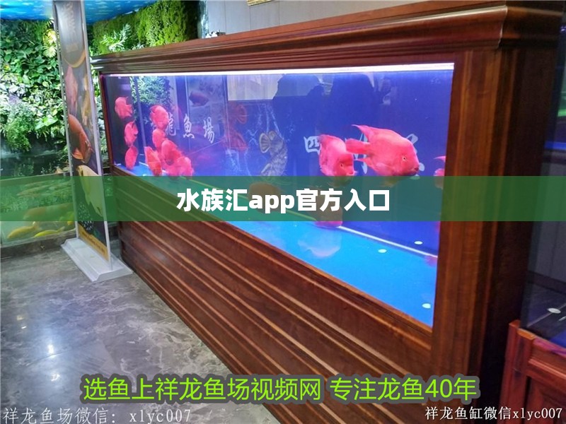 水族匯app官方入口