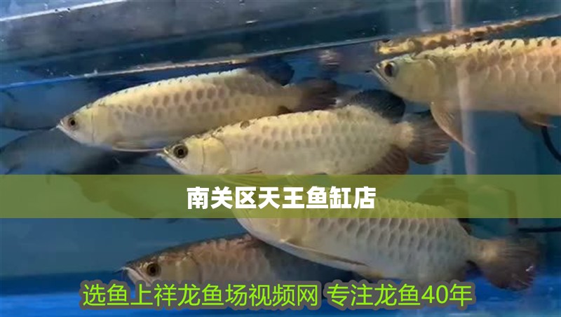 南關區天王魚缸店