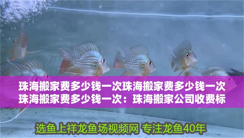珠海搬家費多少錢一次珠海搬家費多少錢一次珠海搬家費多少錢一次：珠海搬家公司收費標準