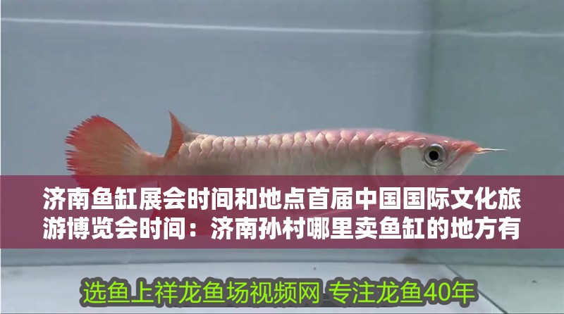 濟南魚缸展會時間和地點首屆中國國際文化旅游博覽會時間：濟南孫村哪里賣魚缸的地方有哪些？