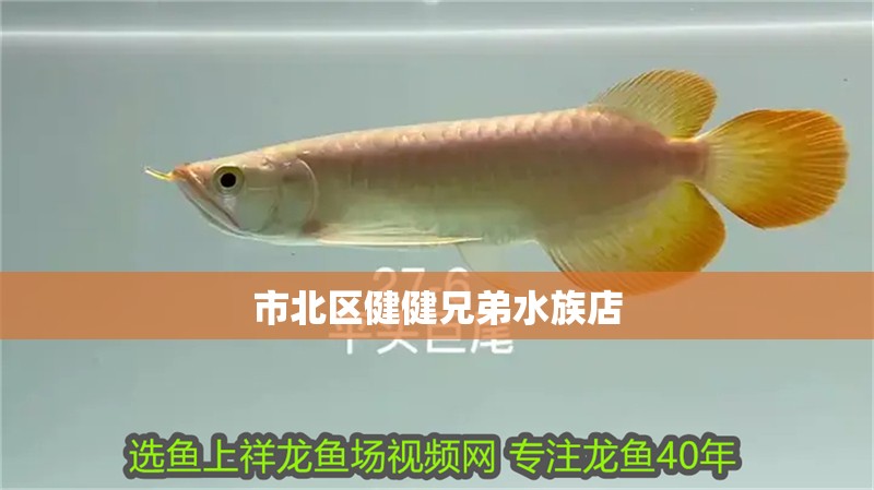 市北區健健兄弟水族店