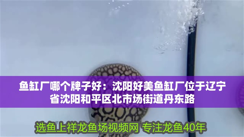 魚缸廠哪個牌子好：沈陽好美魚缸廠位于遼寧省沈陽和平區北市場街道丹東路