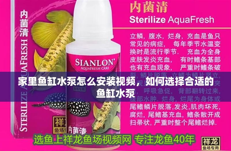 家里魚缸水泵怎么安裝視頻，如何選擇合適的魚缸水泵