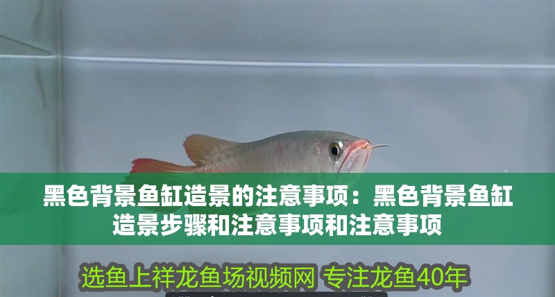 黑色背景魚缸造景的注意事項：黑色背景魚缸造景步驟和注意事項和注意事項