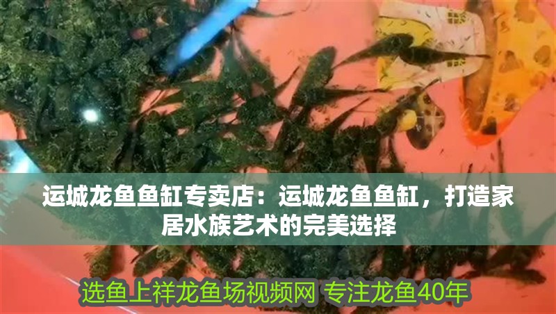 魚缸用增氧泵價格是多少:魚缸增氧機-xtrac增氧機-xtrac增氧機 運城龍魚魚缸專賣店:運城龍魚魚缸,打造家居水族藝術的完美選擇 魚缸百科 運城龍魚魚缸專賣店:運城龍魚魚缸,打造家居水族藝術的完美選擇 運城龍魚魚缸專賣店:運城龍魚魚缸,打造家居水族藝術的完美選擇 魚缸百科